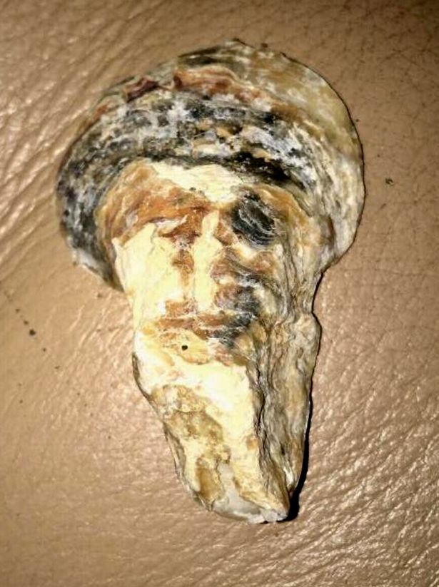 Sốc khi nhặt được vỏ sò hình gương mặt trùm khủng bố bin Laden - Hình 1