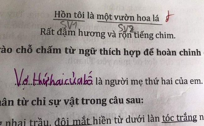 Trong Giờ Học Cô Giáo Hỏi Hạnh Phúc Là Gì?, Học Sinh Đưa Ra Câu Trả Lời  Khiến Cô Cũng Phải Câm Nín - Netizen - Việt Giải Trí