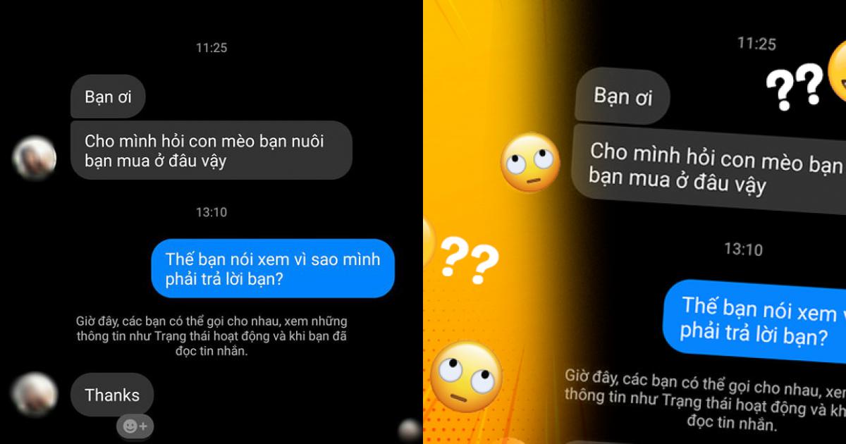 Dân Mạng 9 Người 10 Ý Vụ Gái Xinh Hỏi Mua Mèo Thì Bị Vặn Vẹo: Ai Mới Là  Người Bất Lịch Sự, Vô Duyên Đây? - Netizen - Việt Giải Trí