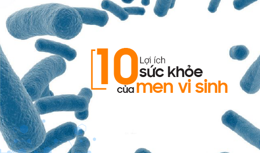 10 loi ich suc khoe kho tin cua men vi sinh ban can biet 24bf50