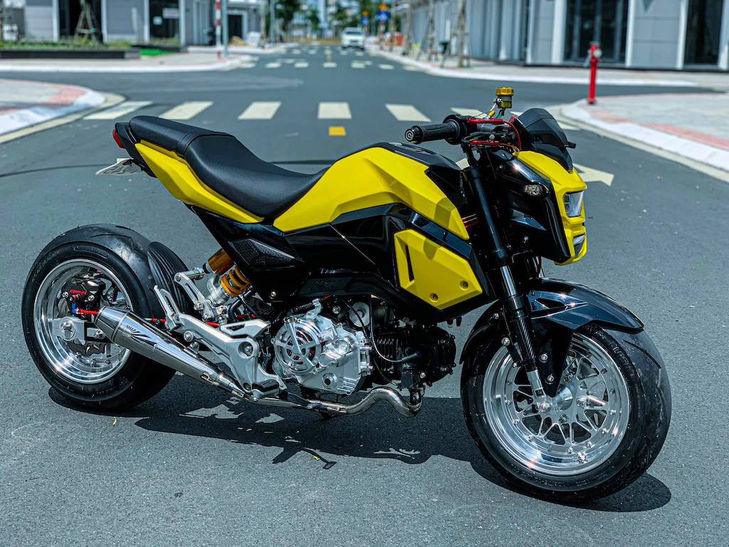 Honda MSX độ lùn dùng để chở heo của Biker Mỹ Tho  Cập nhật tin tức Công  Nghệ mới nhất  Trangcongnghevn