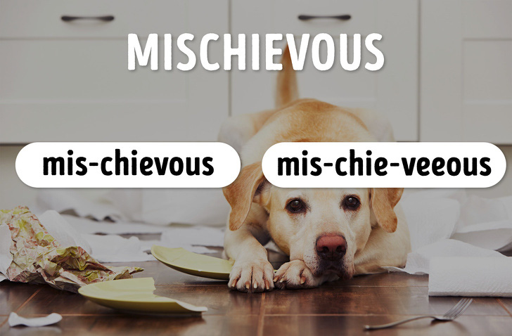 15 từ tiếng Anh nhiều người tưởng mình phát âm đúng đến khi kiểm tra thì ngỡ ngàng vì như 1 cú lừa! - Hình 13