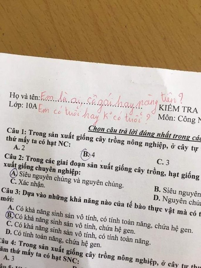 Lời phê hài hước của giáo viên khiến dân mạng cười vỡ bụng - Hình 1