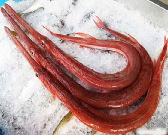 Cá chìa vôi nướng muối ớt - Hình 1
