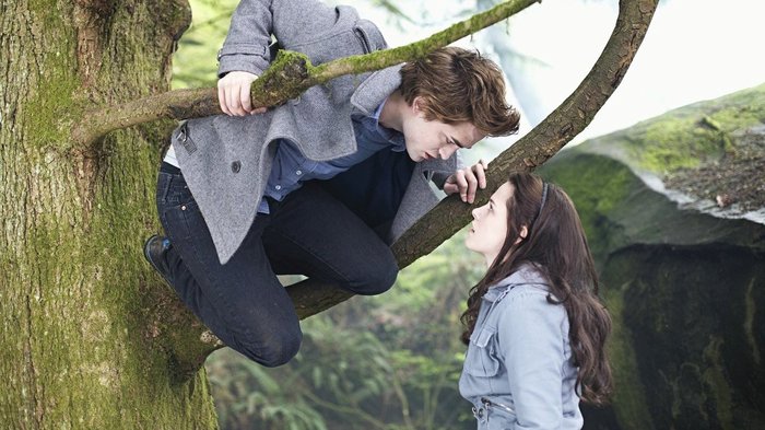 11 năm trôi qua, đã đến lúc coi trọng 'Twilight' - bom tấn indie từng làm khuynh đảo thế giới - Hình 2