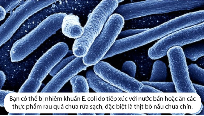 Ăn salad và rau sống, hàng trăm người bị nhiễm khuẩn E. coli - Hình 3
