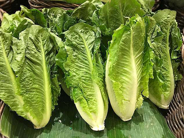 Ăn salad và rau sống, hàng trăm người bị nhiễm khuẩn E. coli - Hình 1