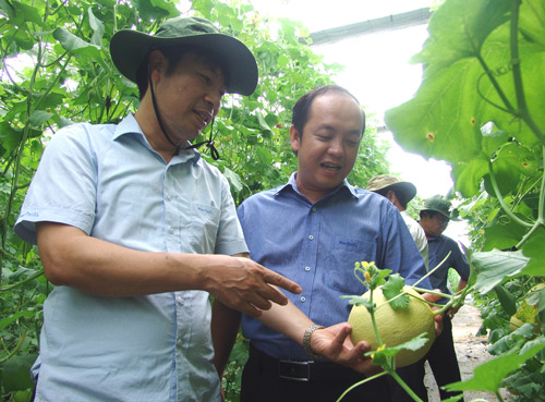 Bình Dương: Nông nghiệp công nghệ cao vươn lên mạnh mẽ - Hình 1