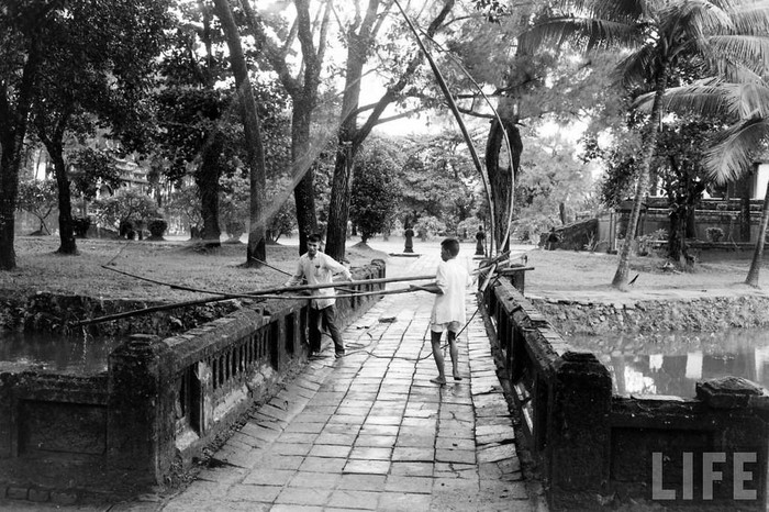 Cuộc sống ở Huế năm 1961 qua ảnh độc của tạp chí Life - Hình 4