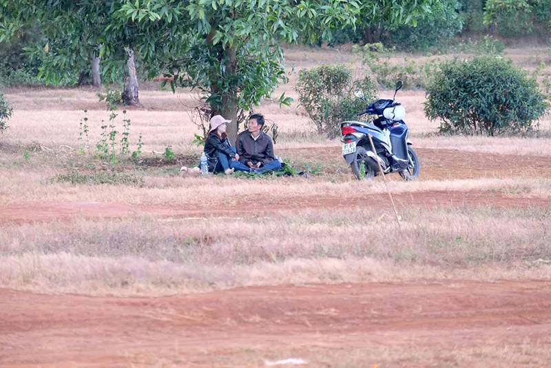 Dạo chơi trên đồi cỏ hồng ở Gia Lai - Hình 9