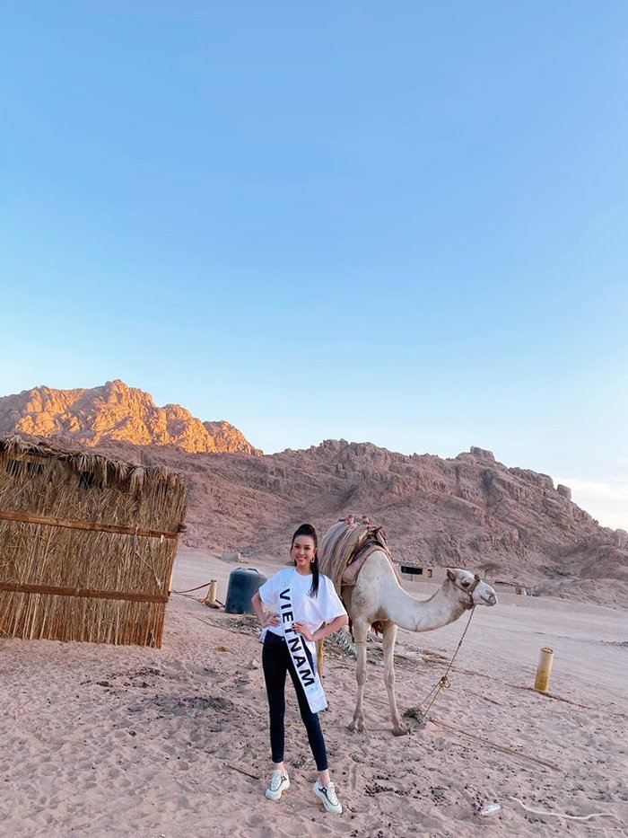 Món quà thời trang nhỏ nhưng có võ của Á hậu Thúy An khiến loạt thí sinh thích thú tạo nét ở Miss Intercontinental - Hình 6