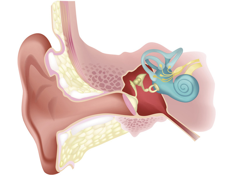 Nhận biết ngay những nguyên nhân gây rối loạn tiền đình thường gặp - Hình 2