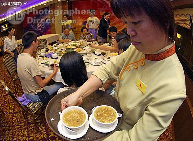 Những món ăn đắt nhất hành tinh: Súp vi cá mập, món ăn đắt đỏ từ tử thần của biển cả - Hình 2