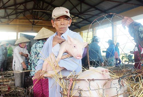 Chợ bế heo độc nhất xứ Quảng - Hình 3