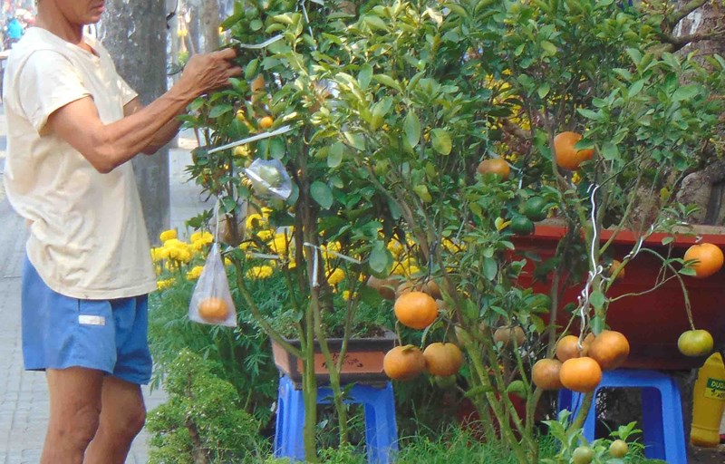 Coi chừng rước bệnh vào thân khi dùng trái kiểng - Hình 1