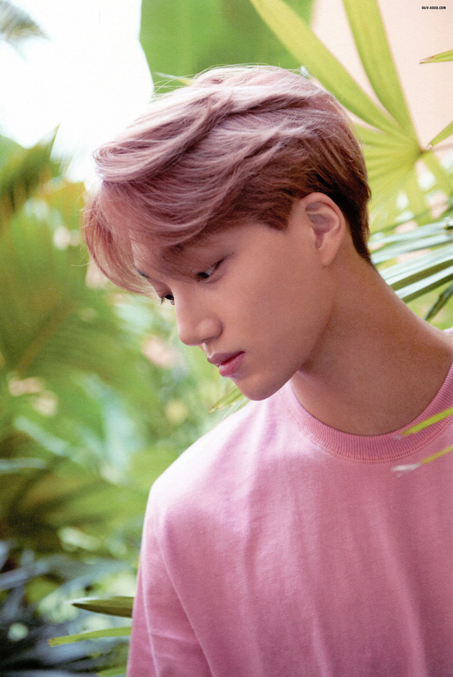 Kai (EXO) bỗng xóa loạt bài đăng trên Instagram, fan đoán có liên quan đến Jennie nhưng sự thật là gì? - Hình 2