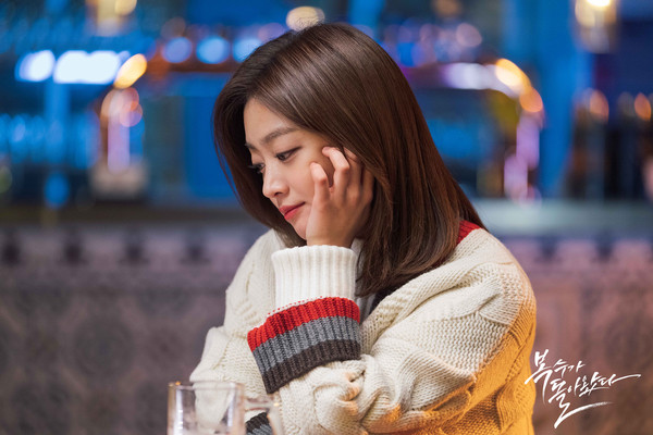 Park Hae Jin - Jo Bo Ah dự đóng phim hài lãng mạn, Four Men bị lãng quên và Ren (Nuest) chẳng thể ra mắt - Hình 7