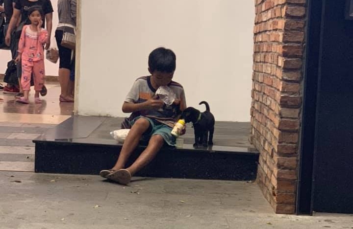 Cậu bé ăn xin và chú cún nhỏ: Khoảnh khắc lay động triệu trái tim với một tình bạn đẹp - Hình 2