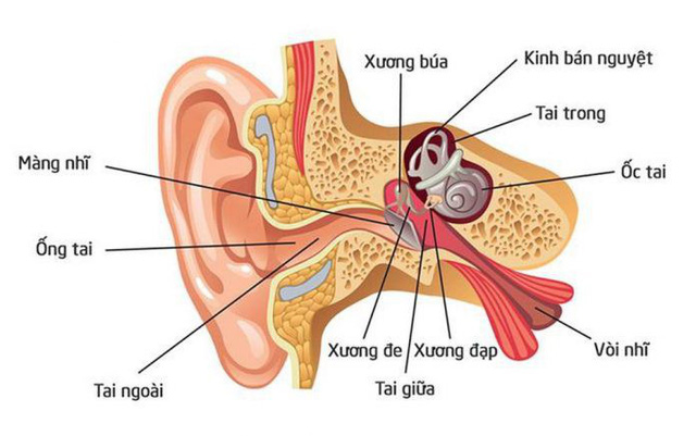 tu vu nhiem trung nao do dung tam bong ngoay tai bac si chi cach 9d64e0