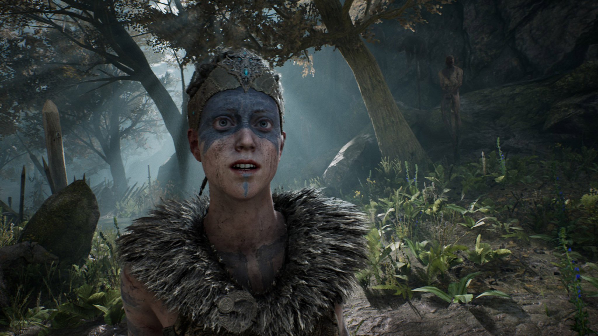 Hellblade. Сенуа сакрифайс. Hellblade: Senua's Sacrifice.