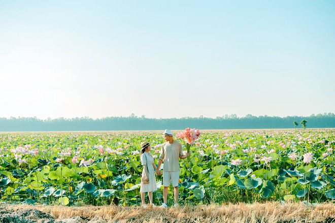 Đã lùng ra địa chỉ cánh đồng sen rộng bát ngát tại An Giang: Thiên đường sống ảo là đây chứ đâu nữa! - Hình 5