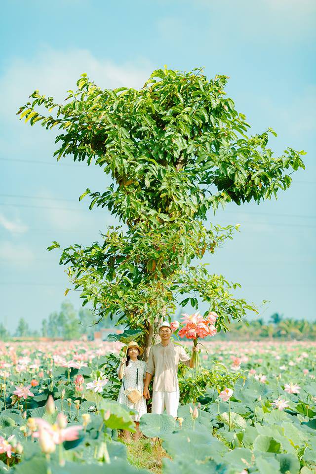 Đã lùng ra địa chỉ cánh đồng sen rộng bát ngát tại An Giang: Thiên đường sống ảo là đây chứ đâu nữa! - Hình 3