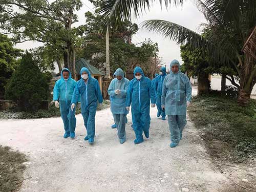 Dịch tả lợn châu Phi lan ra 6 tỉnh: Đàn lợn 26 triệu con bị đe dọa - Hình 1