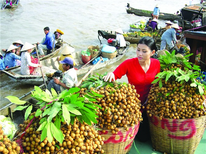 Nông sản sang Trung Quốc: Cửa vẫn rộng nếu không chộp giật - Hình 1