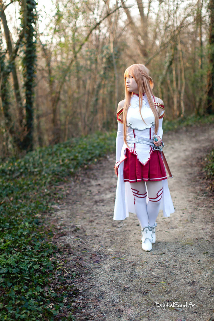 Asuna Yuuki - nữ chính series Sword Art Online - Hình 4