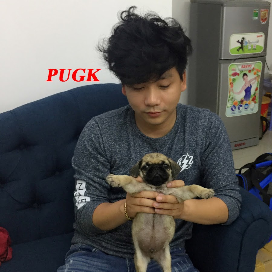 Cao thủ không bằng tranh thủ: Netizen Việt đua nhau chế ảnh Khoa Pug để PR  miễn phí!
