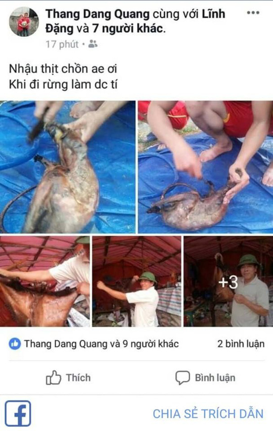 Xác định người đăng ảnh giết thịt chồn bay quý hiếm lên Facebook - Hình 2