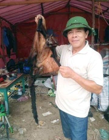 Xác định người đăng ảnh giết thịt chồn bay quý hiếm lên Facebook - Hình 1