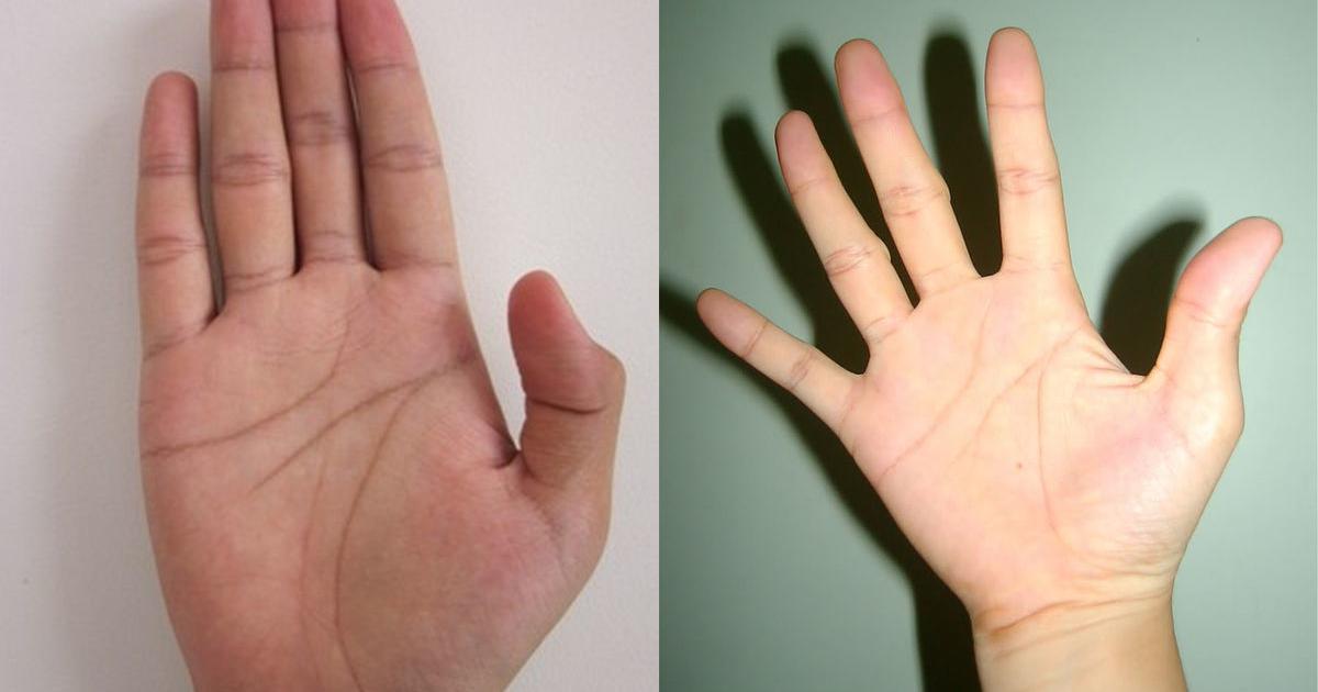 Chỉ 1 giây nhìn kẽ hở bàn tay, biết ngay tương lai nghèo khó hay giàu sang  - Trắc nghiệm - Việt Giải Trí