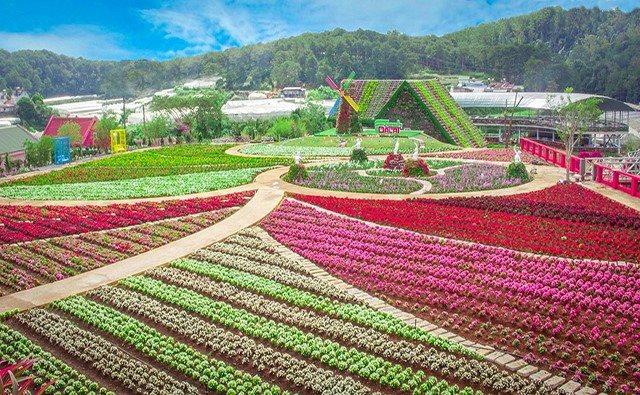 Đà Lạt rất mới trong không gian cũ - Hình 2