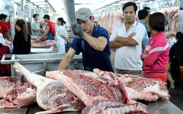 Giá heo hơi ngày mai 7/6: Sẽ tăng tiếp 2.000 đồng/kg - Hình 1