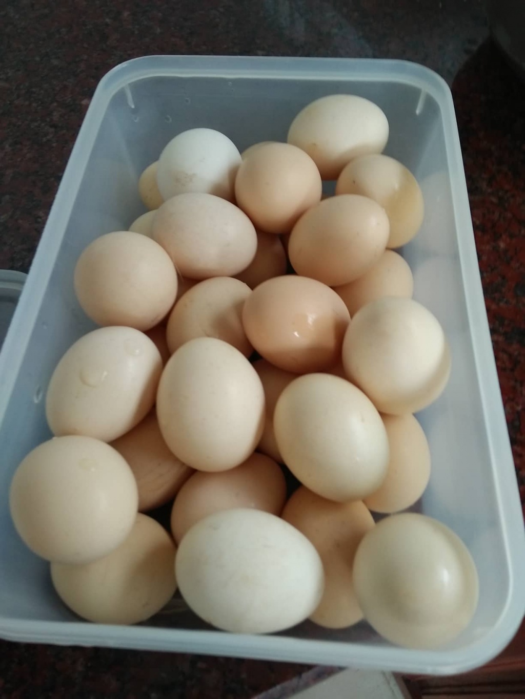 Trang trại vui vẻ với đủ rau quả và gà sạch của người phụ nữ đảm đang ở TP. HCM - Hình 33