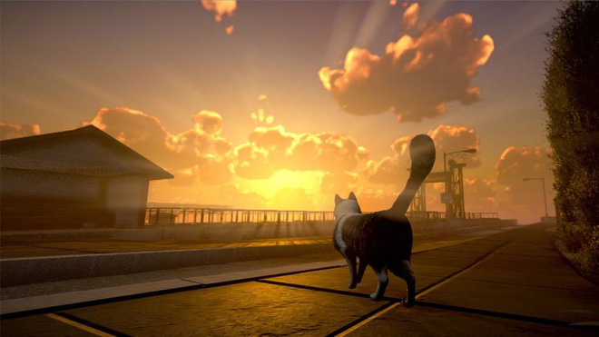 Game Indie nhập vai boss mèo đi giải cứu con sen mất tích gây sốt cộng đồng mạng, góp vốn 600k là sẽ được chơi sớm - Hình 5