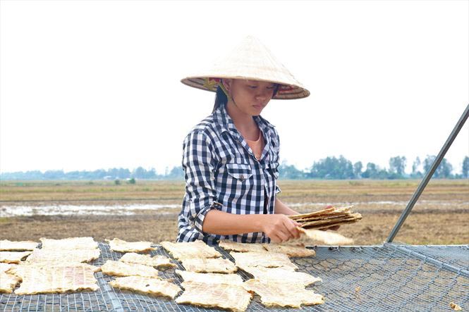 Độc đáo khô cá sấu ở An Giang - Hình 1