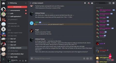 Nhóm game thủ Việt bị group discord nước ngoài bài trừ, đã bị ban oan lại còn bị chửi - Hình 4