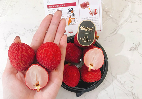 So với vải thiều Bắc Giang lập kỷ lục với bình quân 32.000 đồng mỗi kg thì vải không hạt Nhật Bản nhập về có giá gấp hơn 150 lần. - Hình 1