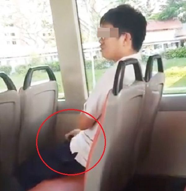 Thấy nam thanh niên tự sướng trên xe buýt, chàng trai bên cạnh có hành động đáng nể này - Hình 1