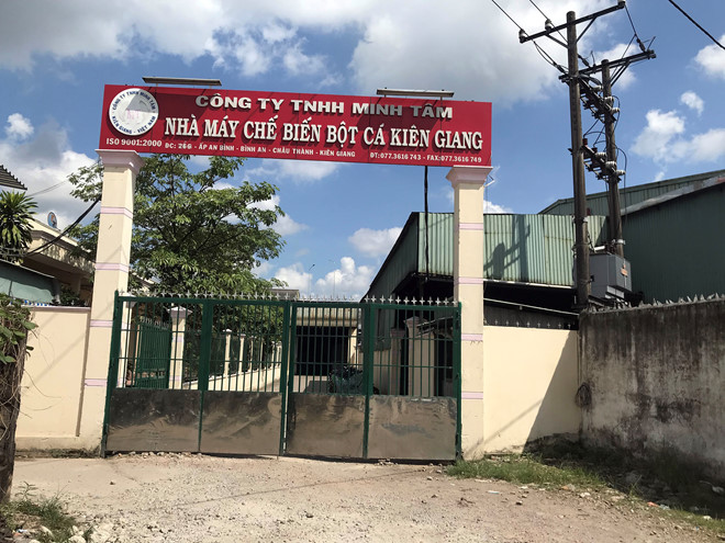 Dân kêu trời không thấu vì mùi hôi từ nhà máy bột cá, nước bị ô nhiễm - Hình 1