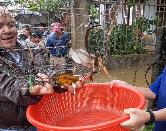 Lâm Đồng: Sau mưa lớn, dân phố ôm rổ, vợt, bu gà... ra đường bắt cá - Hình 3