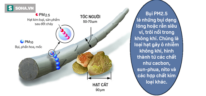 Hà Nội vào top 10 thành phố ô nhiễm không khí tệ nhất TG: Bụi PM2.5 xâm nhập vào máu ra sao? - Hình 5
