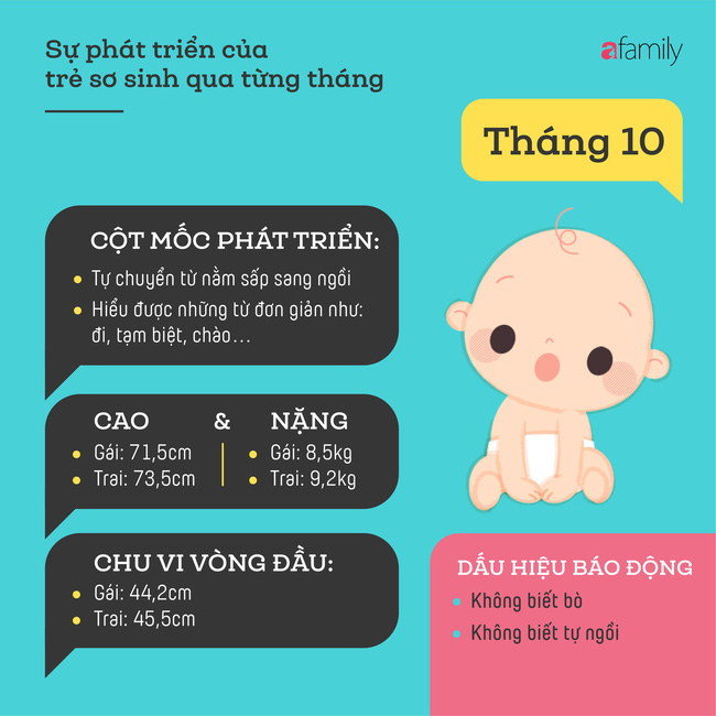 tham khao cac cot moc phat trien quan trong cua em be so sinh trong nam dau tien theo tung thang 134706