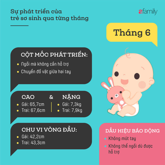 tham khao cac cot moc phat trien quan trong cua em be so sinh trong nam dau tien theo tung thang 203ee8