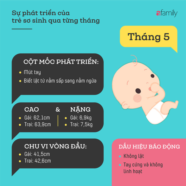 tham khao cac cot moc phat trien quan trong cua em be so sinh trong nam dau tien theo tung thang 878615