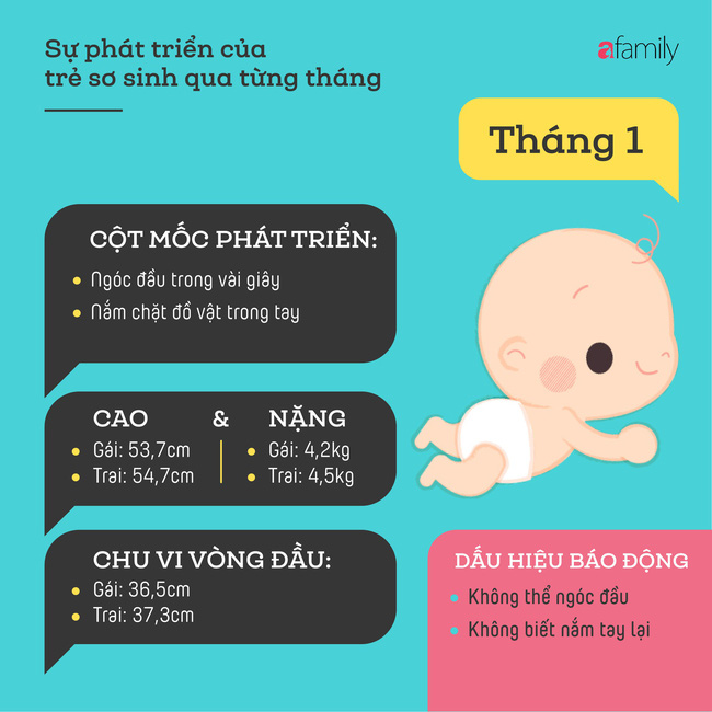 tham khao cac cot moc phat trien quan trong cua em be so sinh trong nam dau tien theo tung thang 904cf6