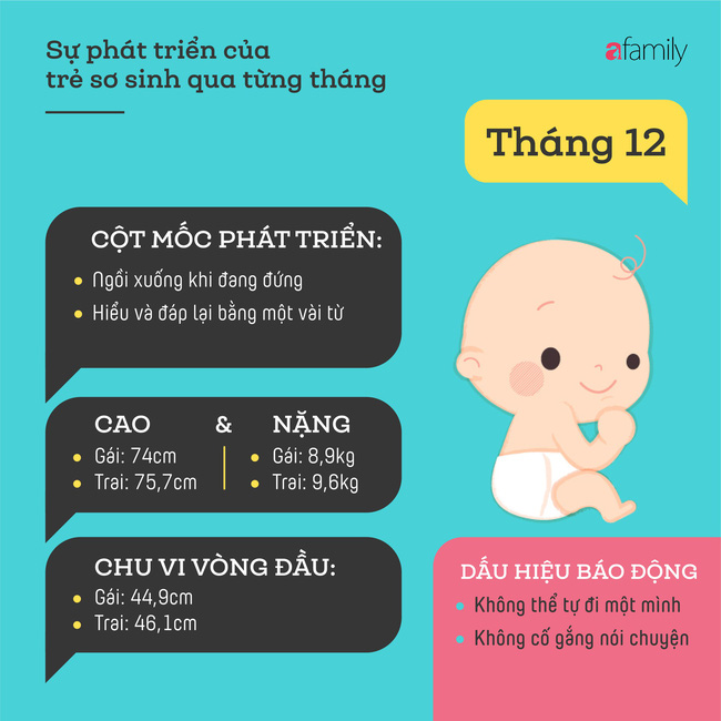 tham khao cac cot moc phat trien quan trong cua em be so sinh trong nam dau tien theo tung thang bebc78