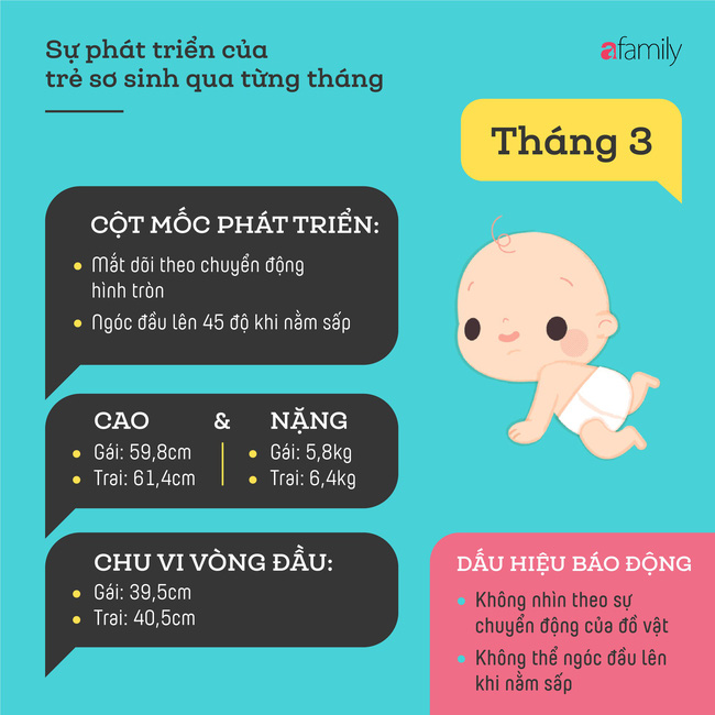 tham khao cac cot moc phat trien quan trong cua em be so sinh trong nam dau tien theo tung thang d7a8f1